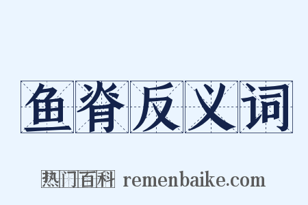 鱼脊反义词是什么意思的图片